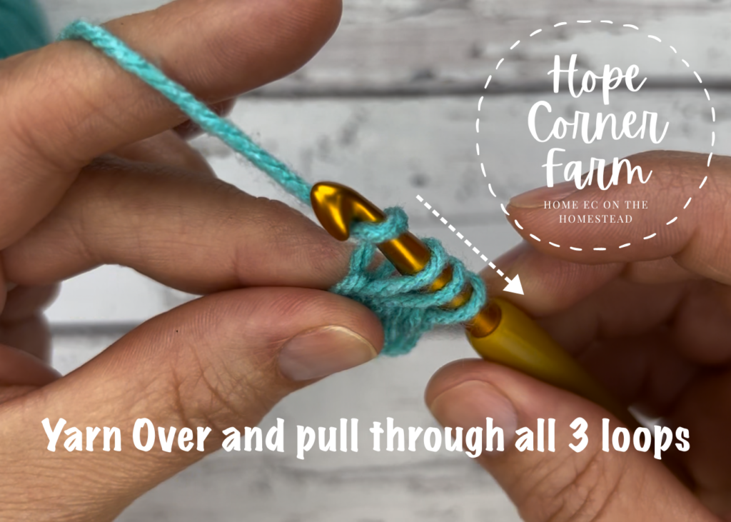 Yarn over and pull the crochet hook through all 3 loops
