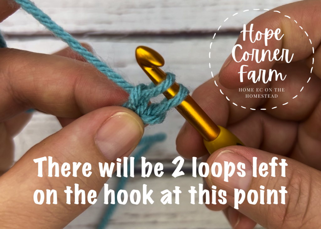 There are 2 loops on the crochet hook now