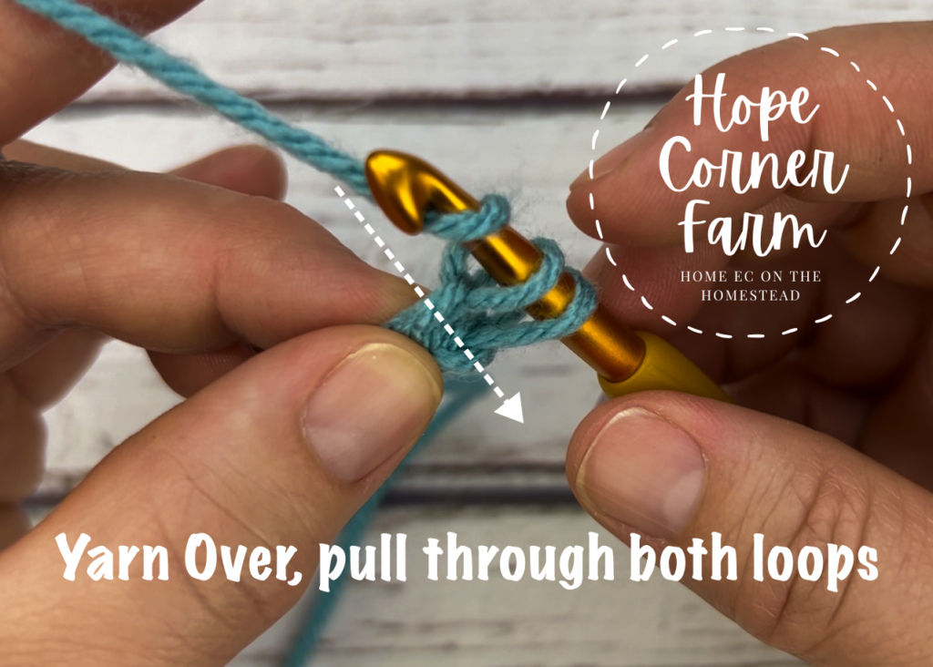 Yarn over and pull through both loops