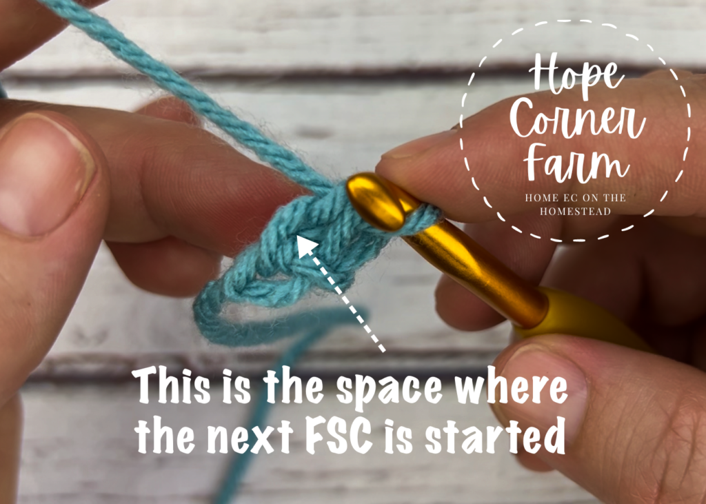 Where to insert the crochet hook for the next FSC