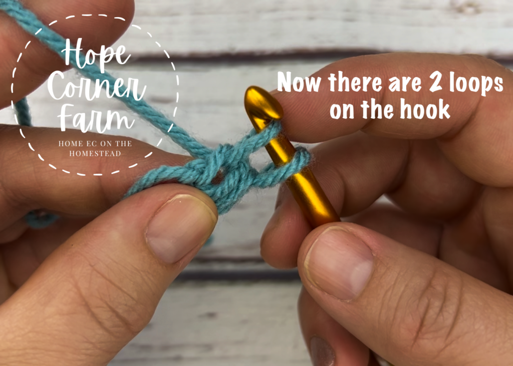2 loops on the crochet hook