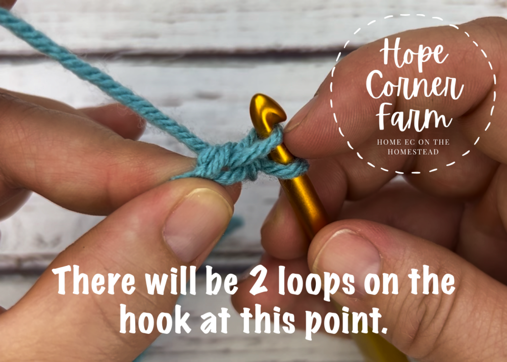 There are 2 loops on the crochet hook