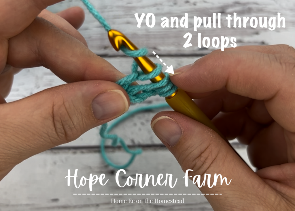 YO and pull through 2 loops on the crochet hook