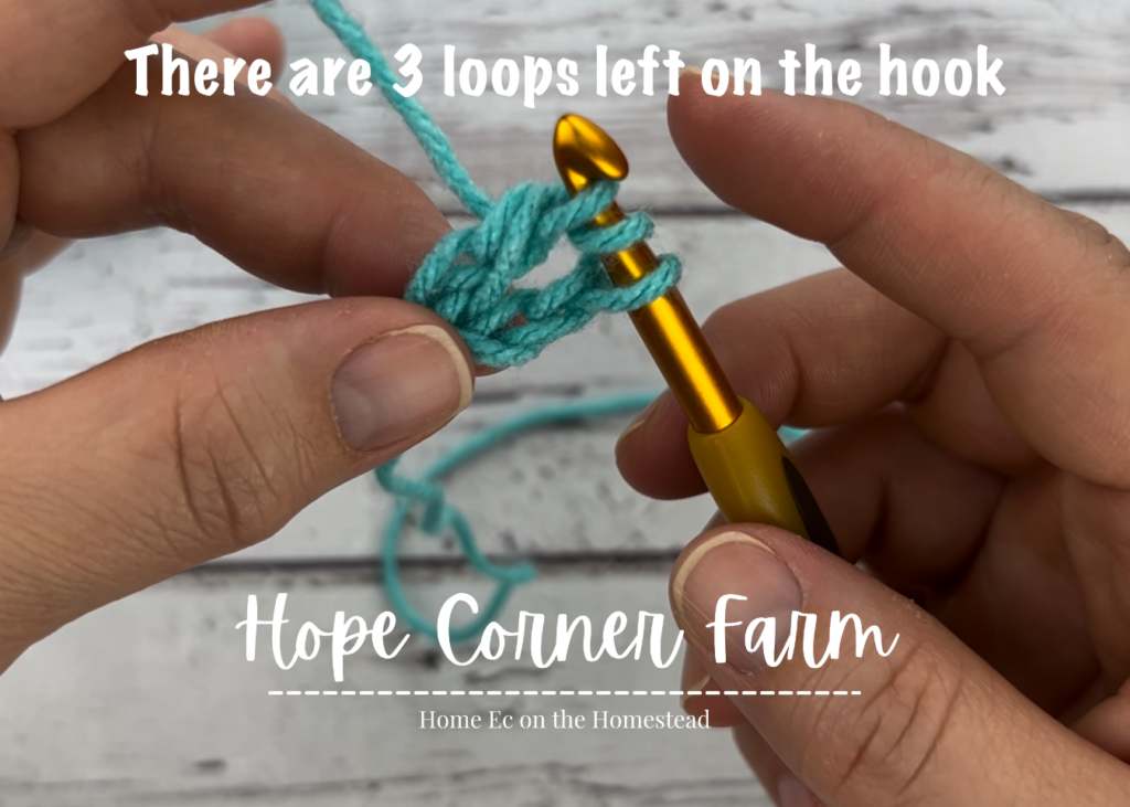 There are 3 loops left on the hook