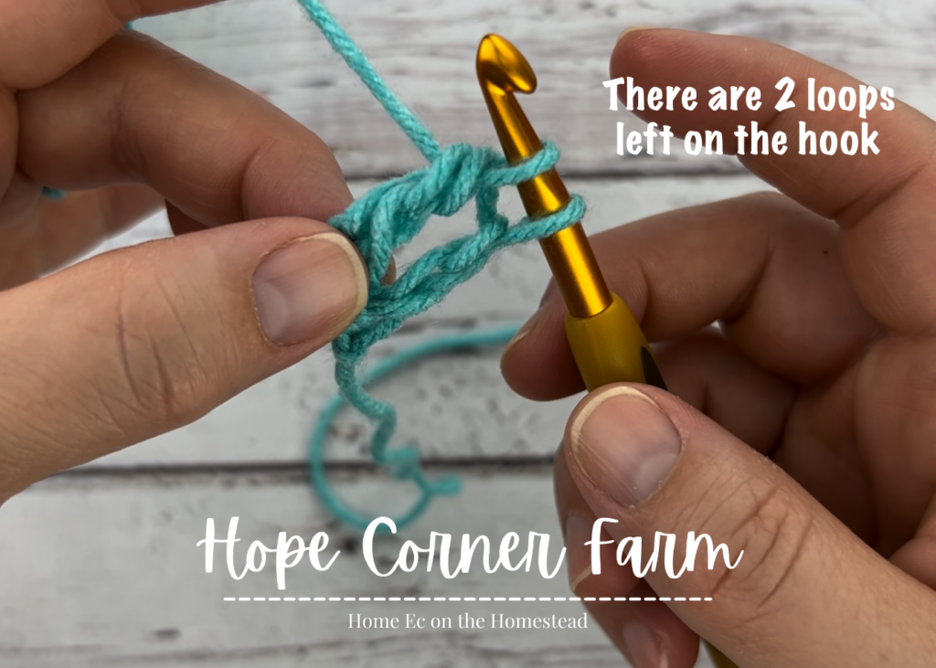 There are 2 loops left on the crochet hook