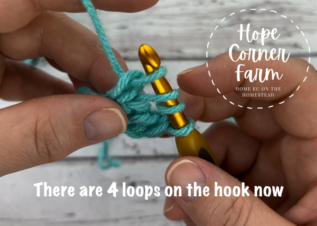 There are 4 loops on the crochet hook