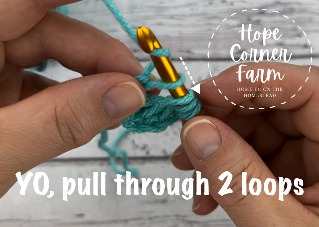Yarn Over and pull through 2 loops