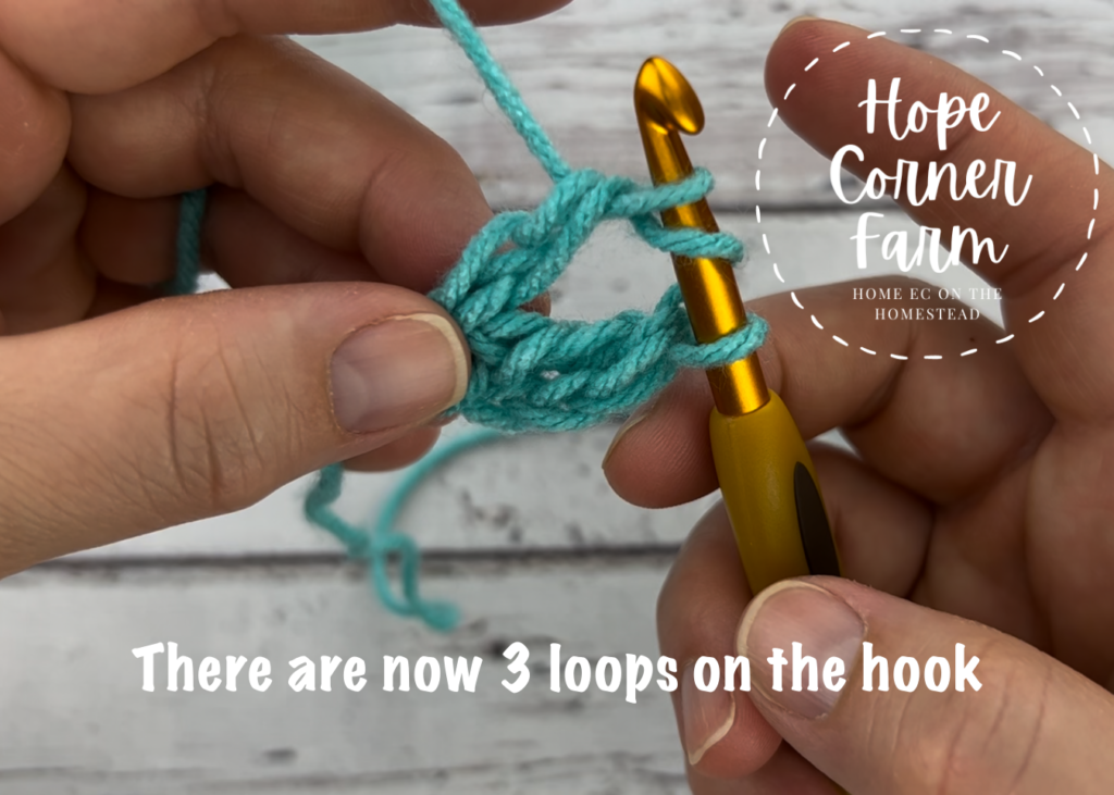 There are 3 loops on the crochet hook now