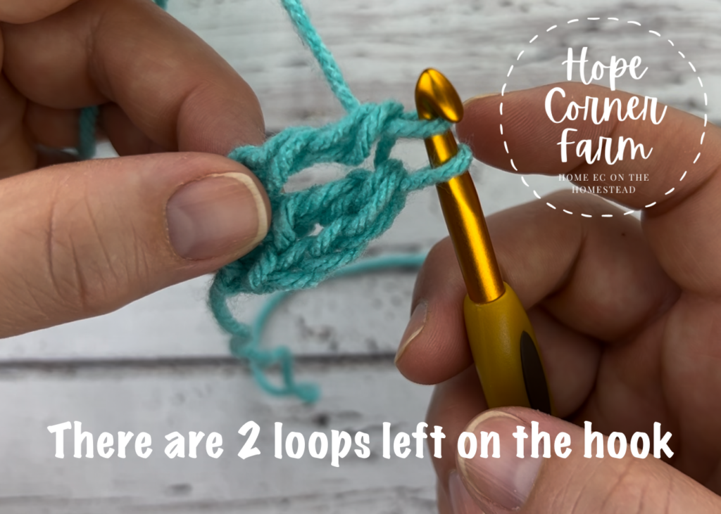 2 loops remain on the crochet hook