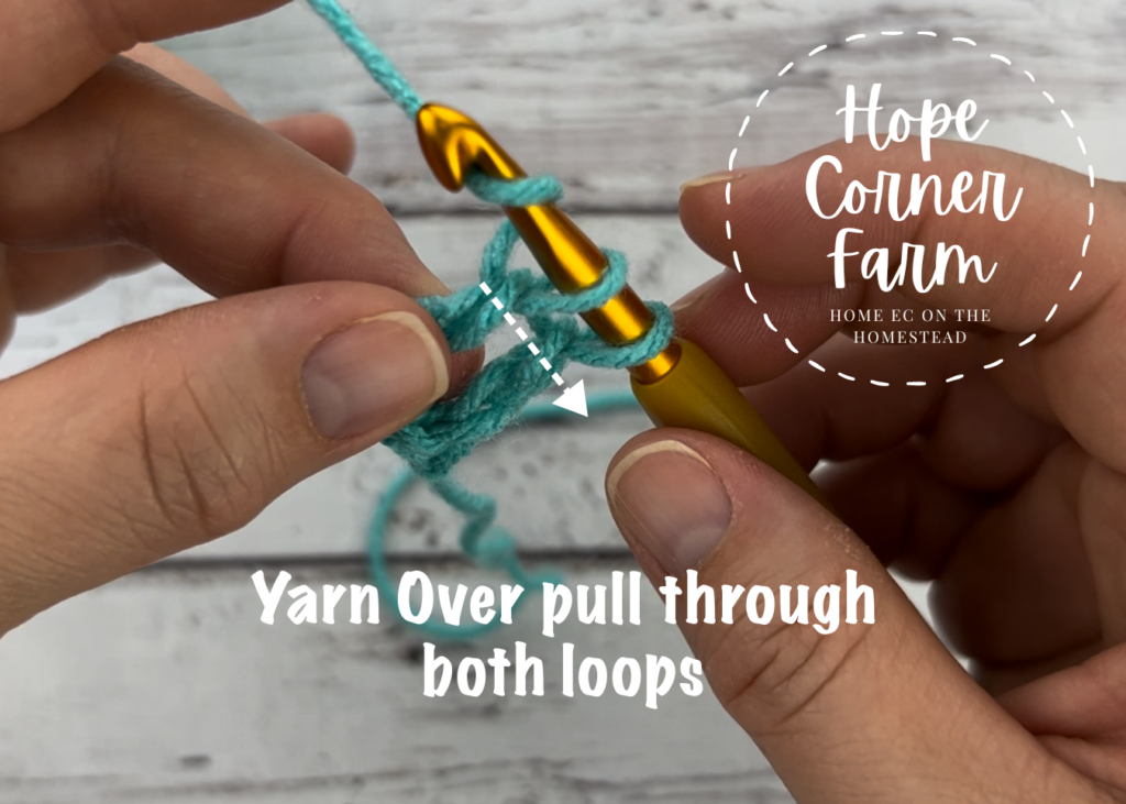 Yarn Over and pull through both loops