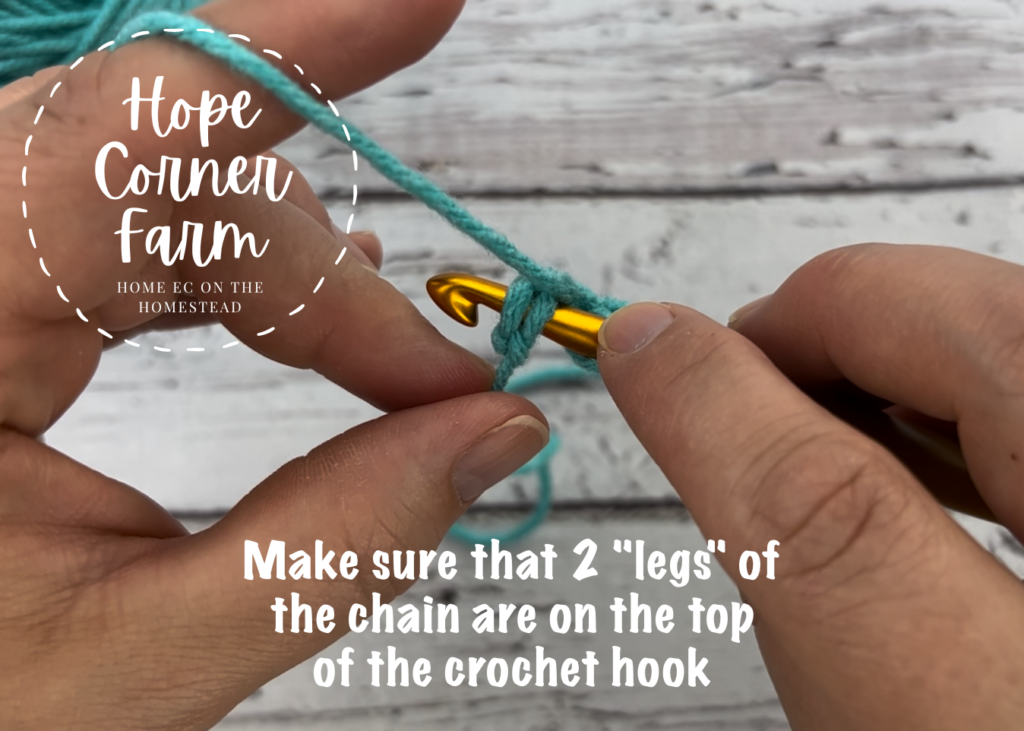 2 legs of the crochet stitch on the top of the hook
