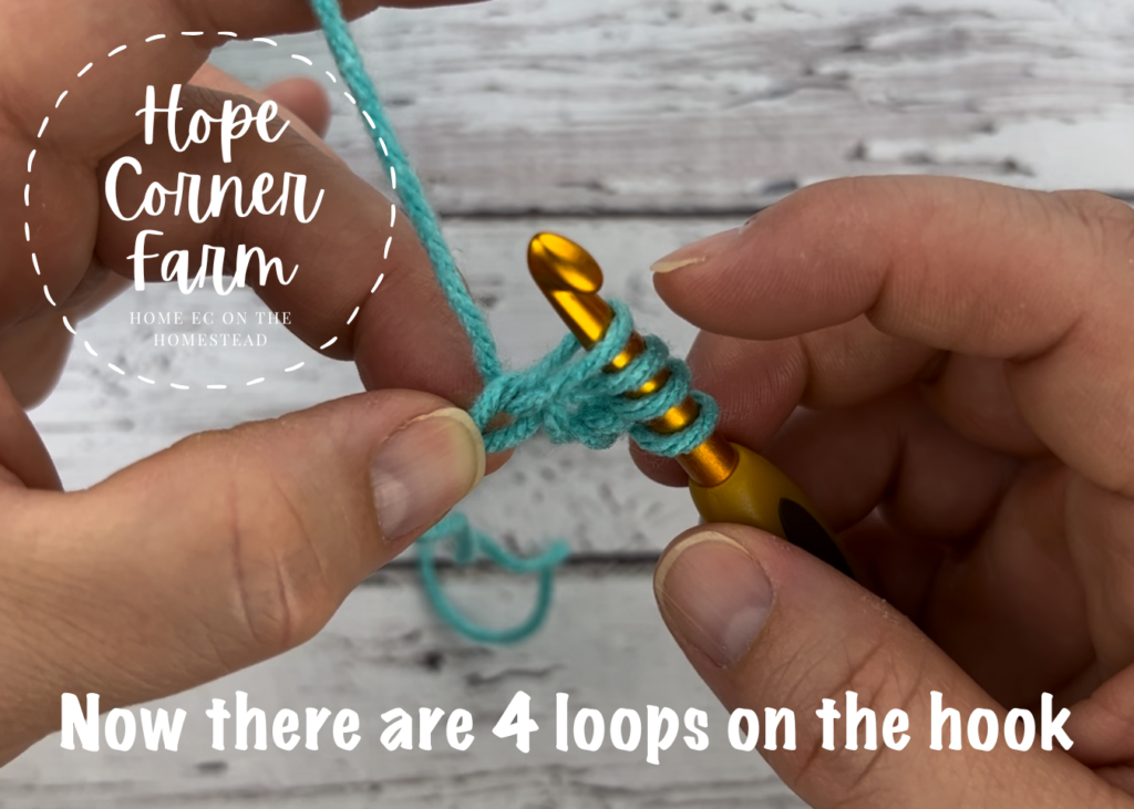 There are 4 loops on the crochet hook