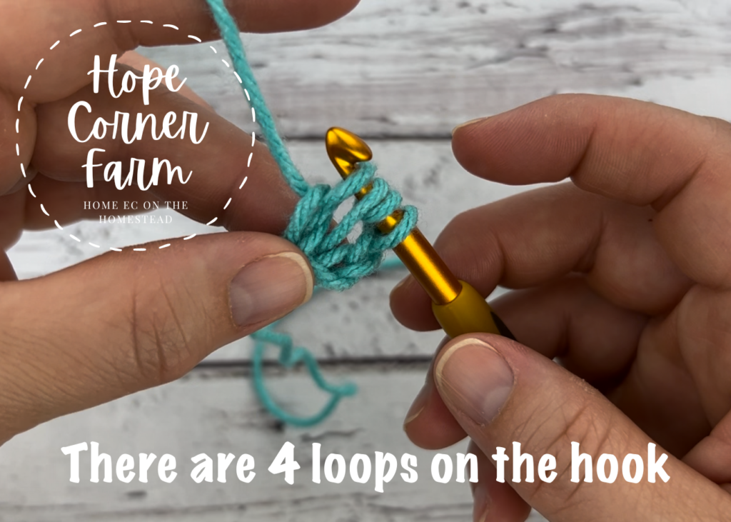 There will be 4 loops on the crochet hook