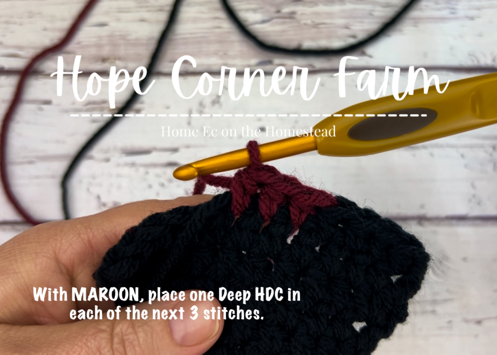 with maroon, place one Deep HDC in each of the next 3 crochet stitches