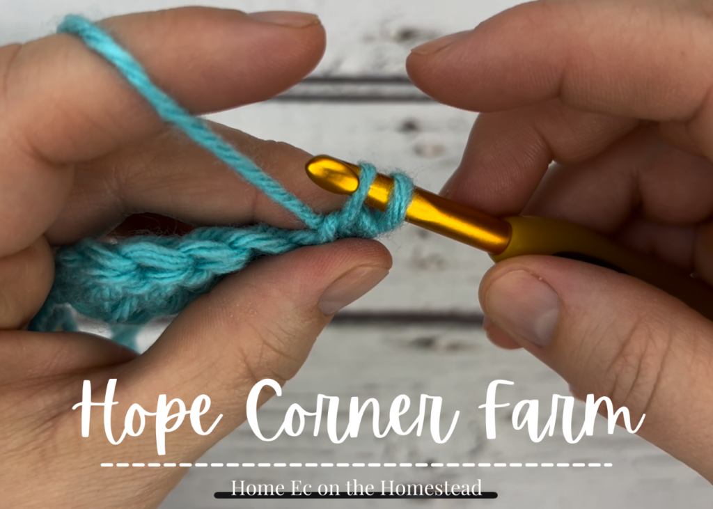 There are now 2 loops on the crochet hook