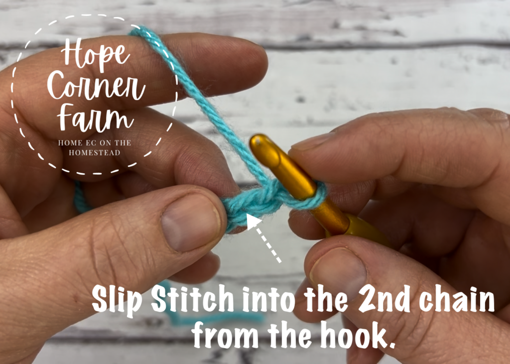 Slip Stitch into the 2nd chain from the hook.