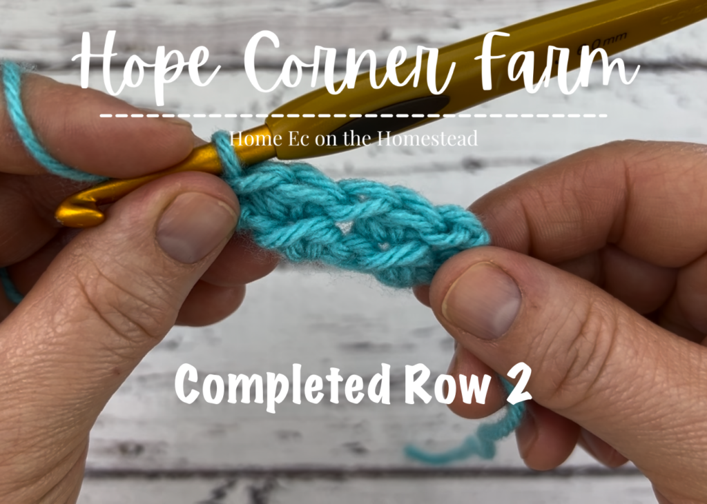 Row 2 How to Even Moss Stitch in Crochet
