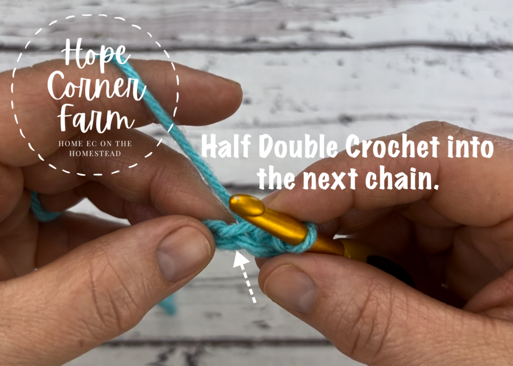 Half Double Crochet into the next stitch.