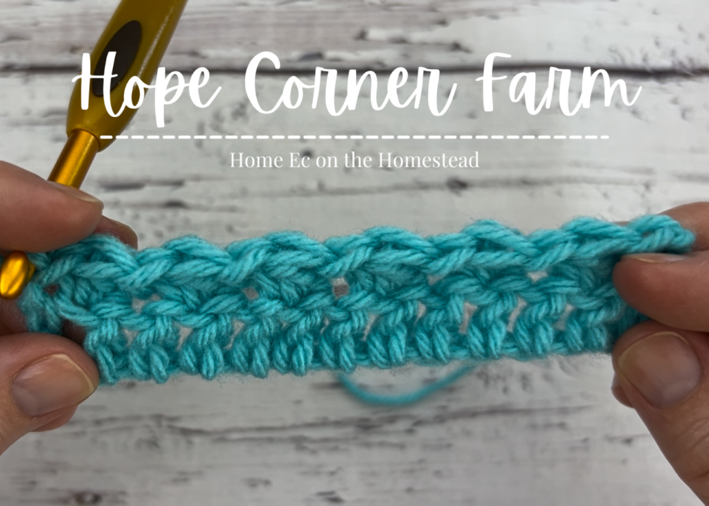 Row 2 How to Floret Stitch in Crochet