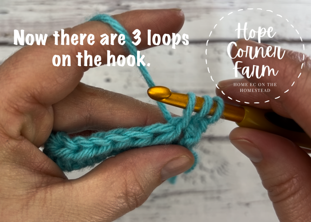 There are now 3 loops on the crochet hook