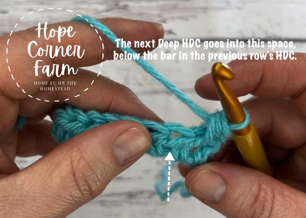 Where to place the crochet hook for the next stitch