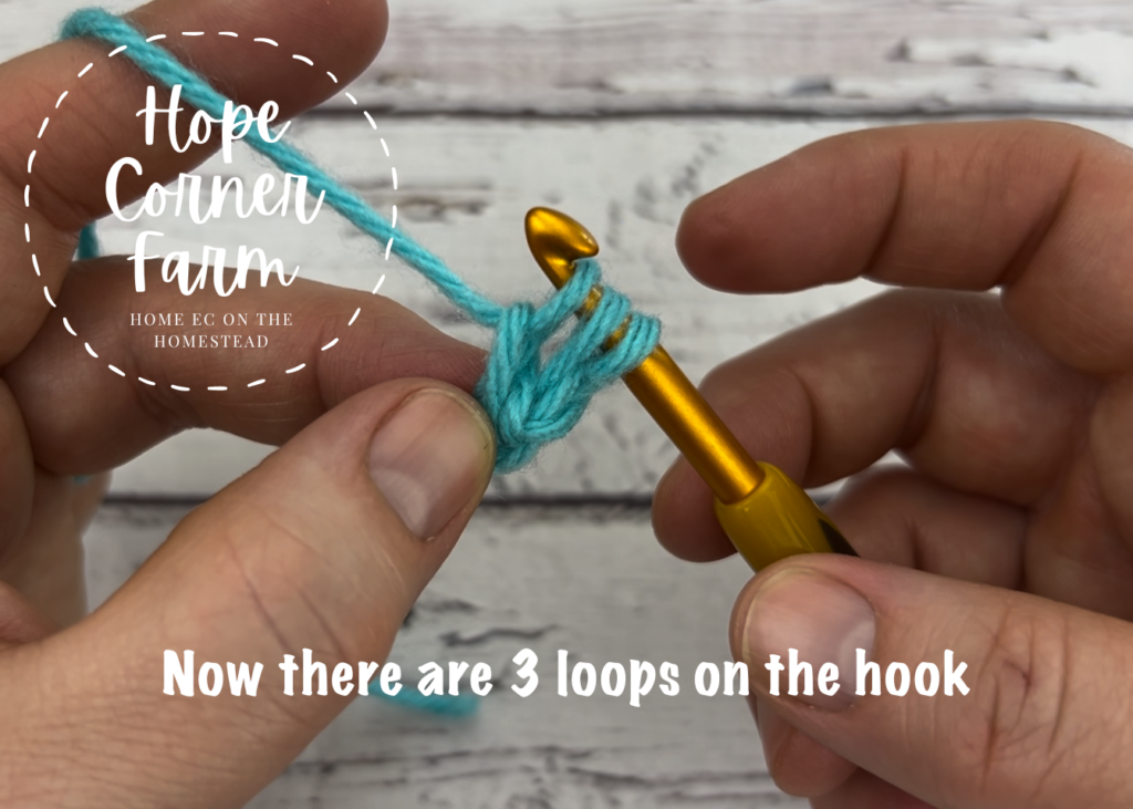 There are 3 loops of yarn on the crochet hook now