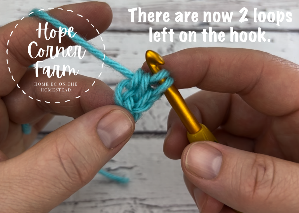 There will be 2 yarn loops remaining on the hook now