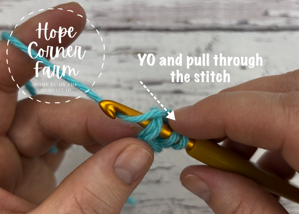YO and pull through the stitch