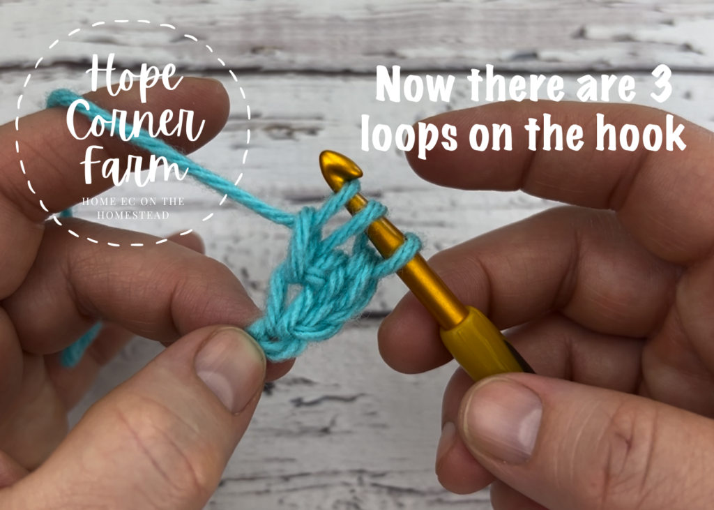 There are now 3 yarn loops on the crochet hook