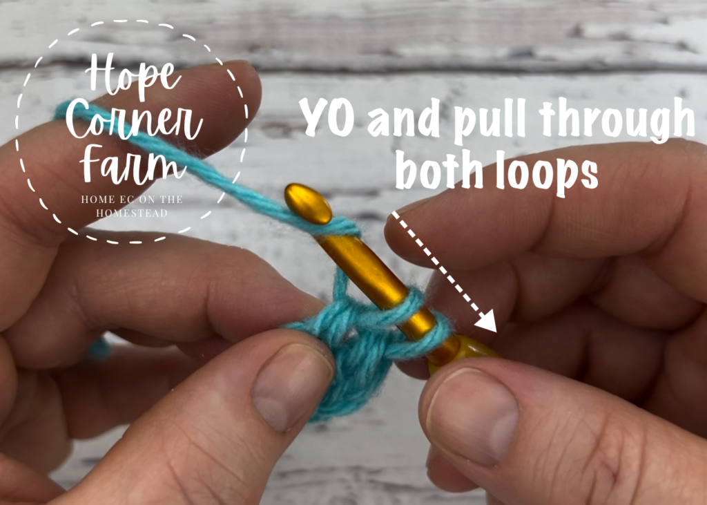 Yarn over and pull through both loops