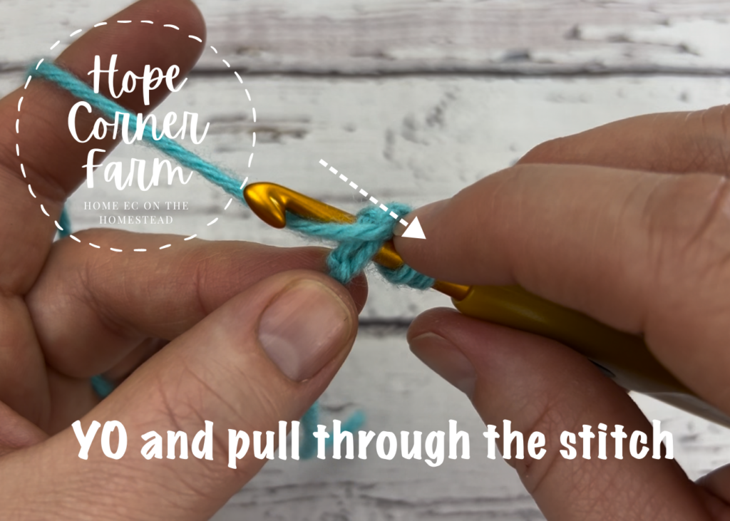 Yarn over and pull through the chain stitch