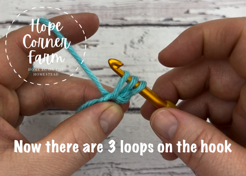 There are 3 loops. on the crochet hook now