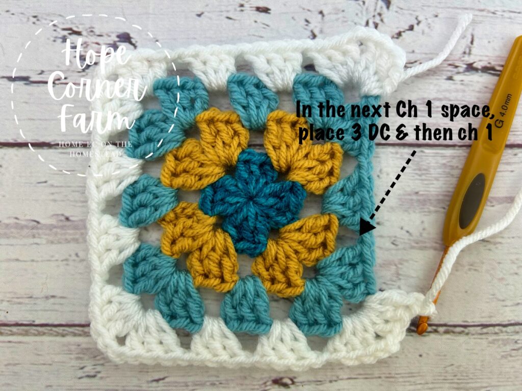 what crochet stitches to place in the next space