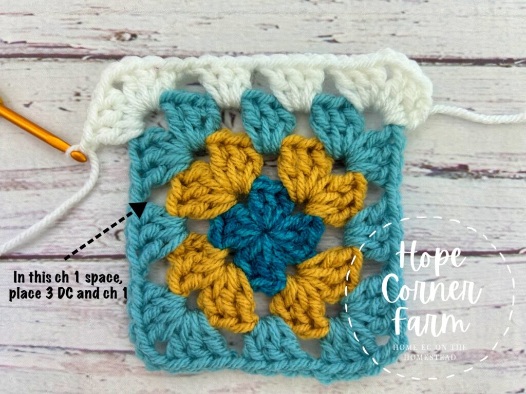 stitch placement for the next 4 crochet stitches