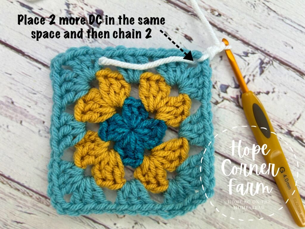 place 2 more double crochets into the same space and chain 2