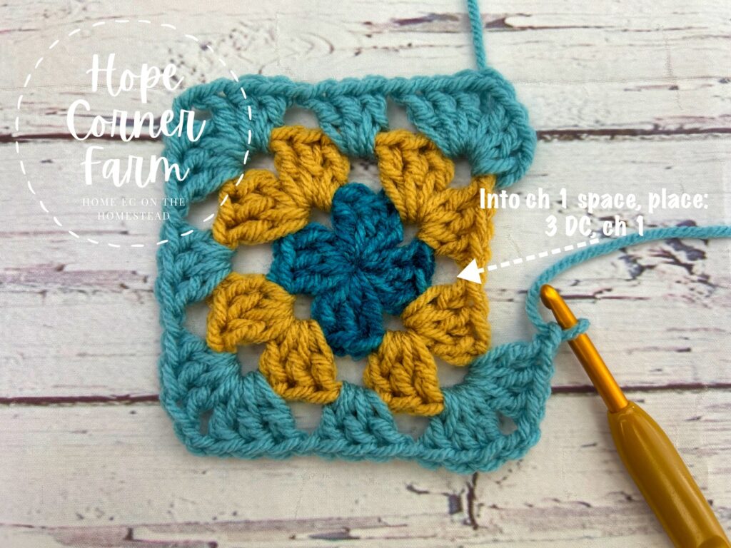 last crochet stitches for round 3