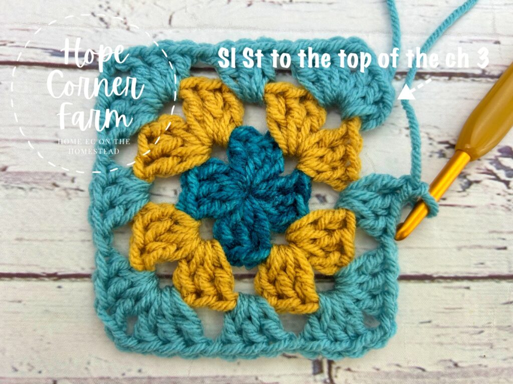 slip stitch to the top of the chain 3 to close the round