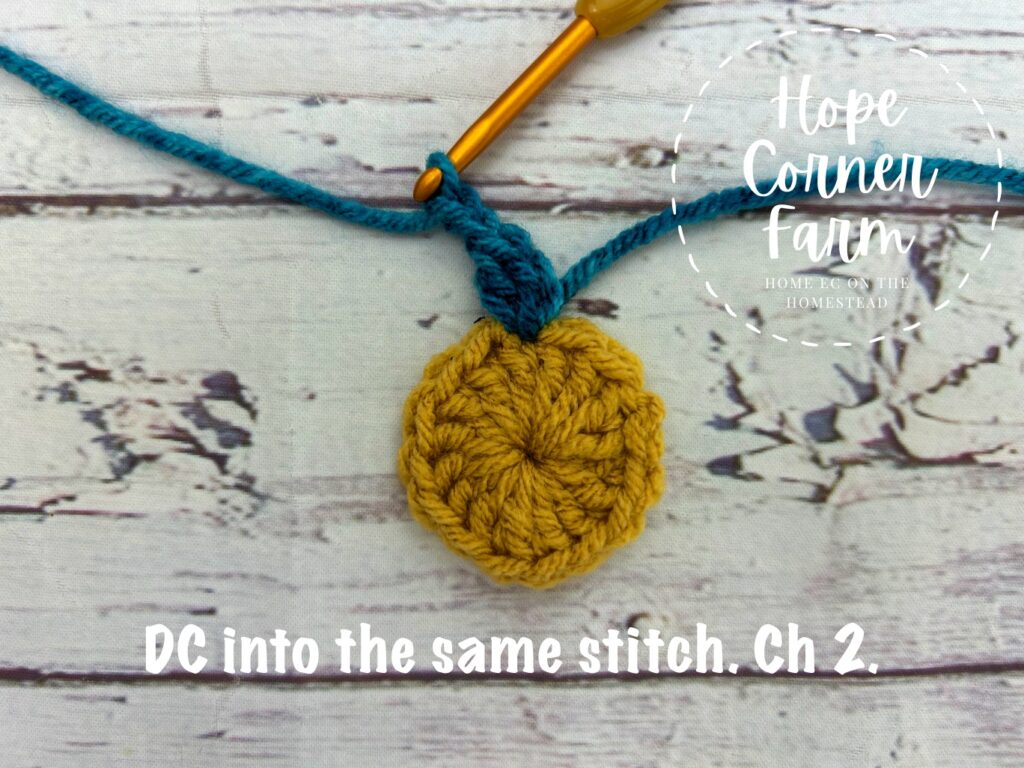 Double crochet into the same stitch and chain 2