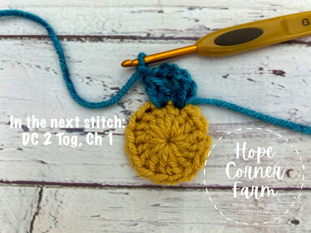 double crochet 2 together and chain 1