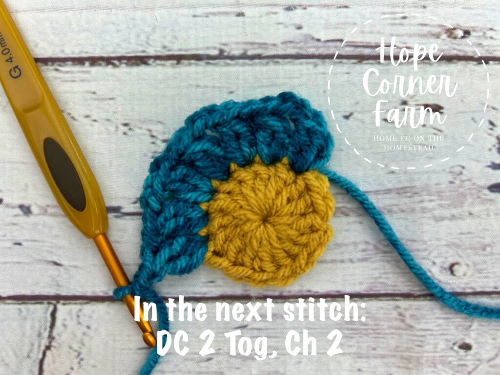 into the next stitch DC 2 tog and chain 2
