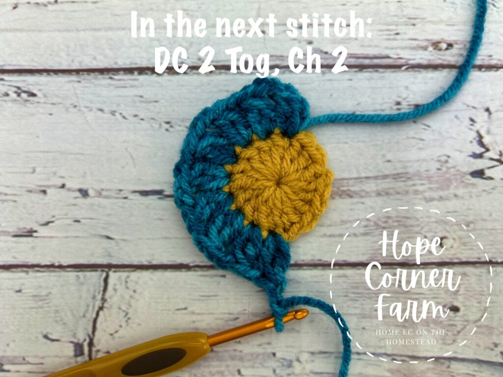 double crochet 2 together and chain 2
