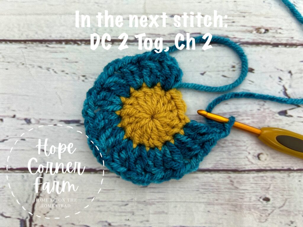 double crochet 2 together and chain 2 for the second round