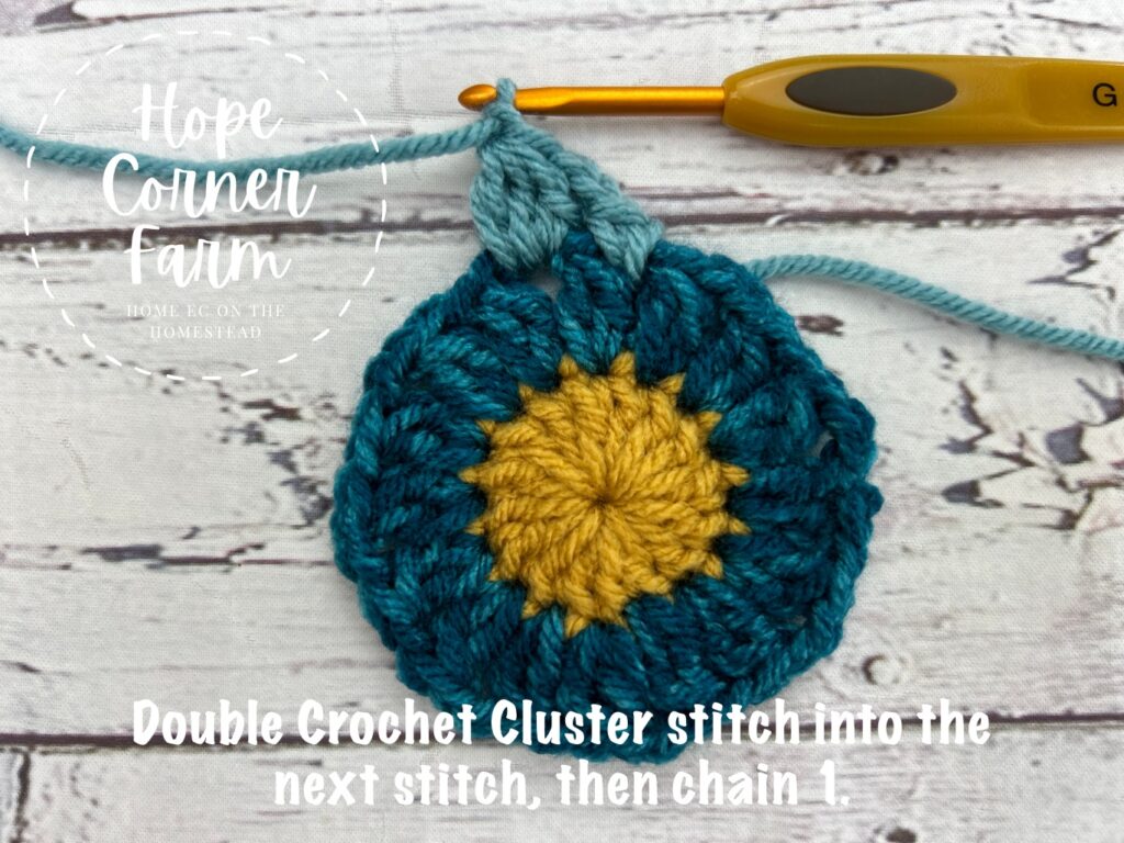 double crochet cluster stitch into the chain 2 space and then chain 1