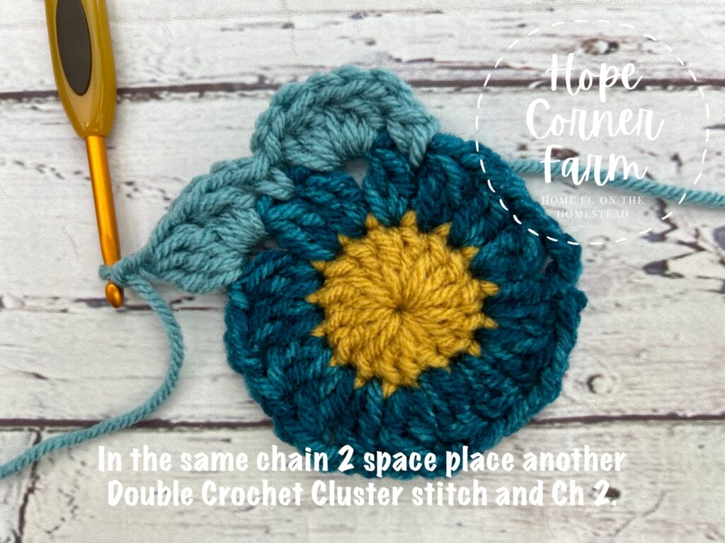 into the same space double crochet cluster stitch and chain 2