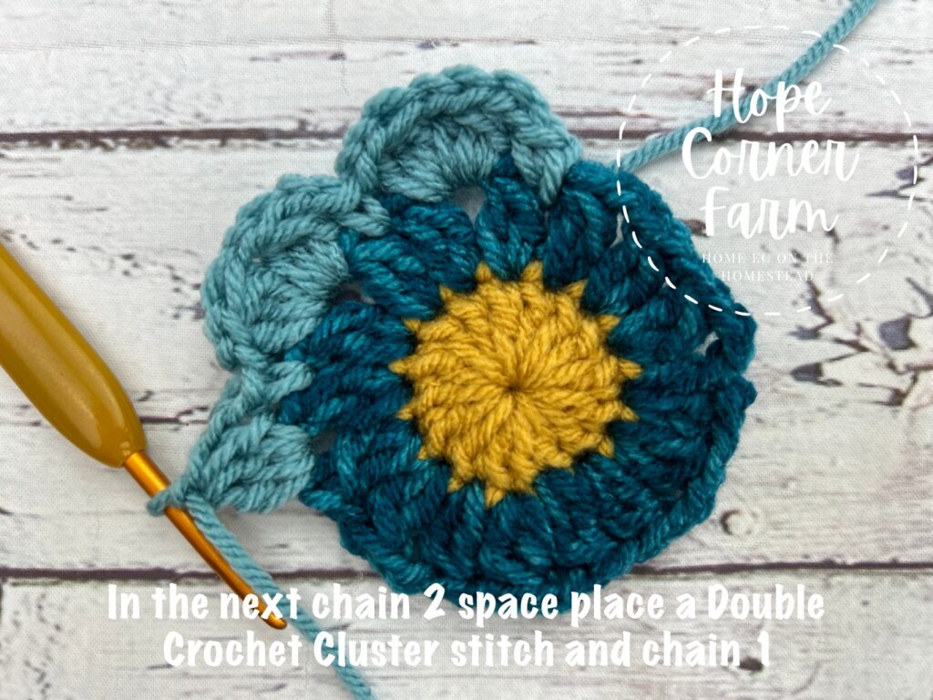 double crochet cluster ch 1