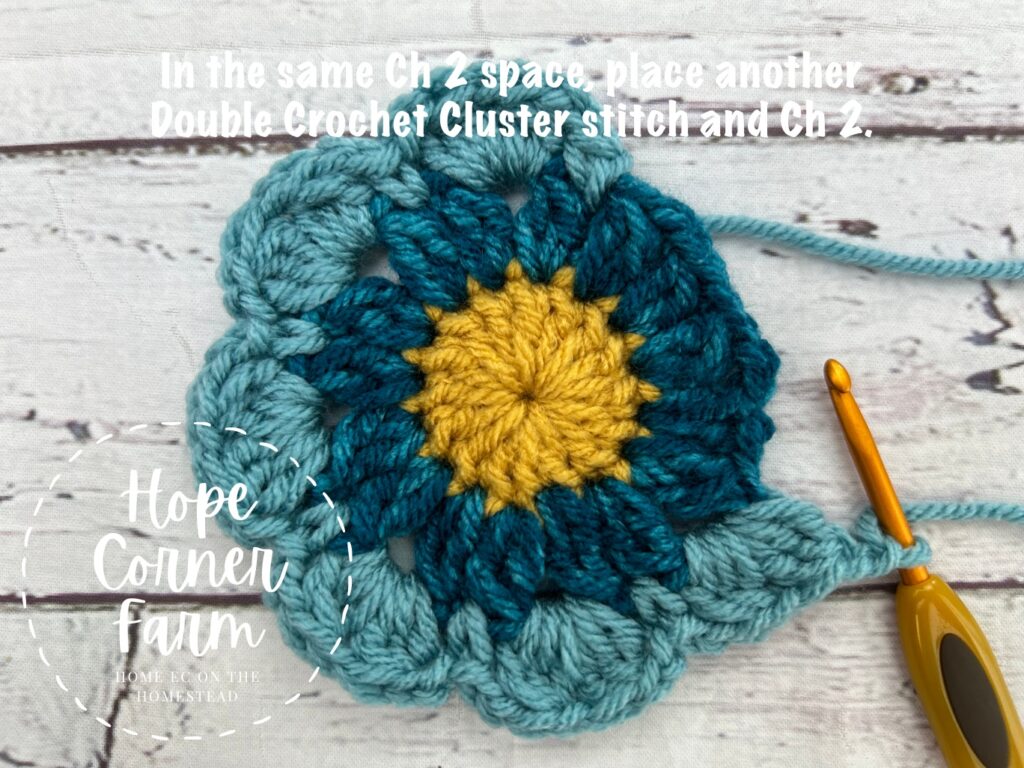 double crochet cluster stitch in he same space
