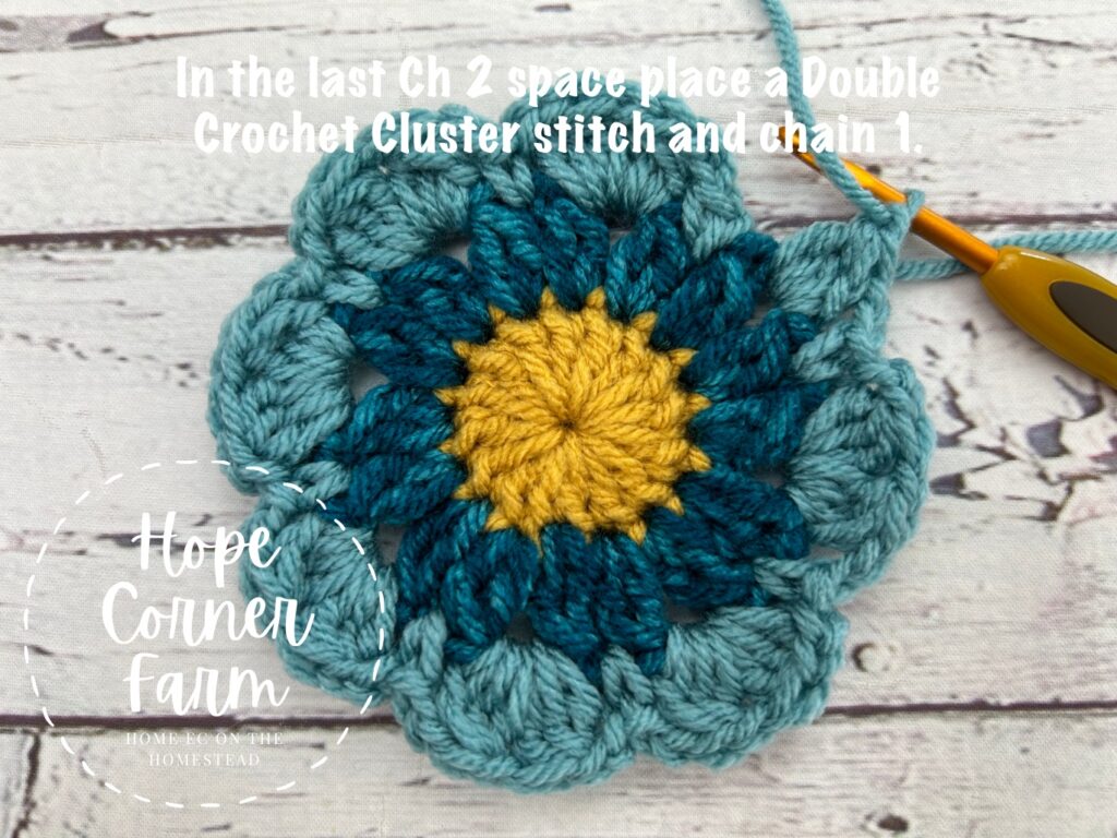 double crochet cluster and chain 1