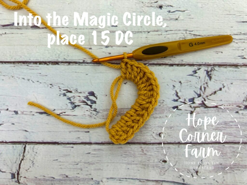 put 15 double crochets into the magic circle
