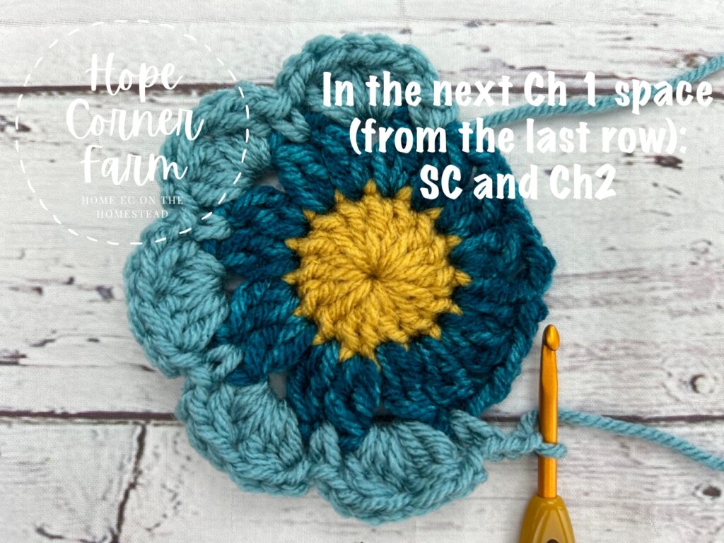 single crochet and chain 2