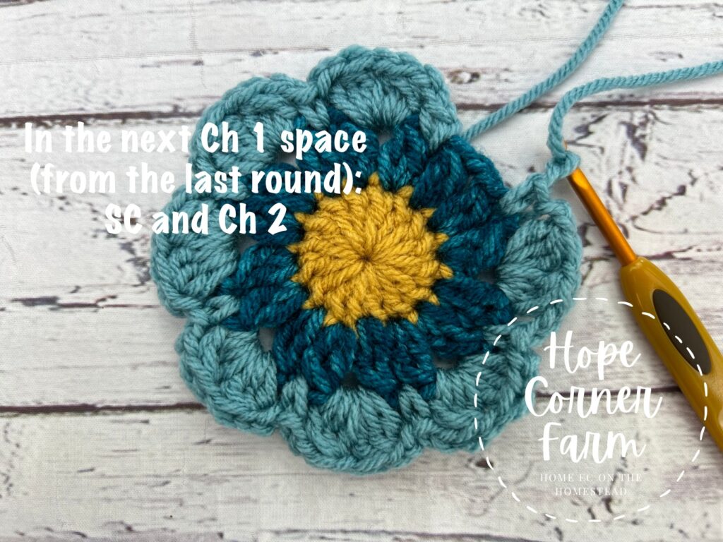 single crochet stitch and chain 2